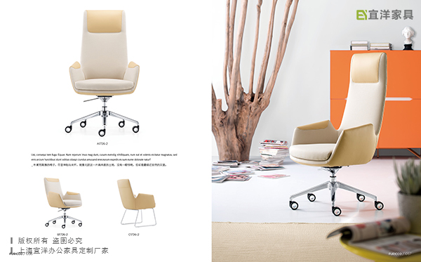 靠背椅,休闲办公椅,厦门办公家具 靠背椅,休闲办公椅,厦门办公家具
